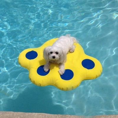 Customized Inflatable Pet Dog Pool Float Swimming  Floating Raft